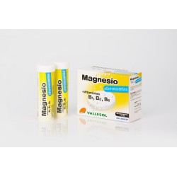 Magnesio+ vitaminas B 24...