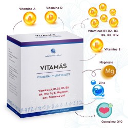 Vitamas (vitaminas y...